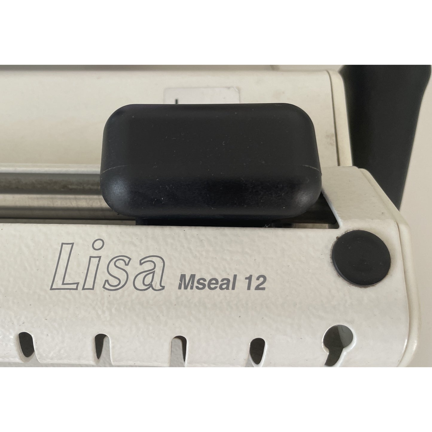Lisa Mseal 12