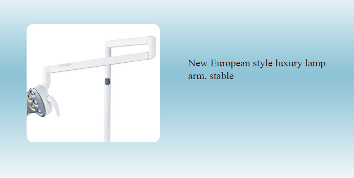 S450 Floor Fixed Dental Unit